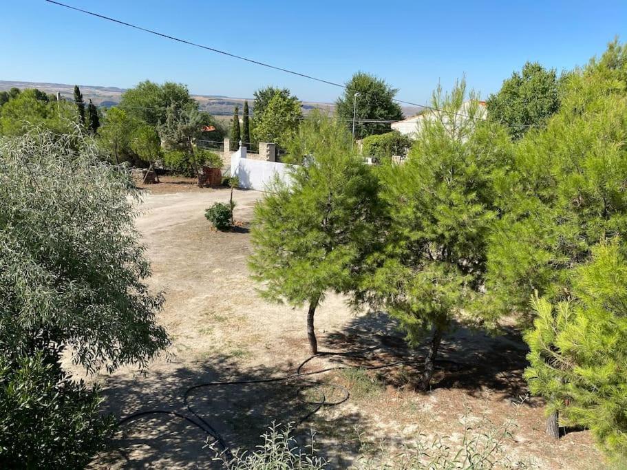 Finca Los Nardos De Miraltajo Colmenar de Oreja Kültér fotó